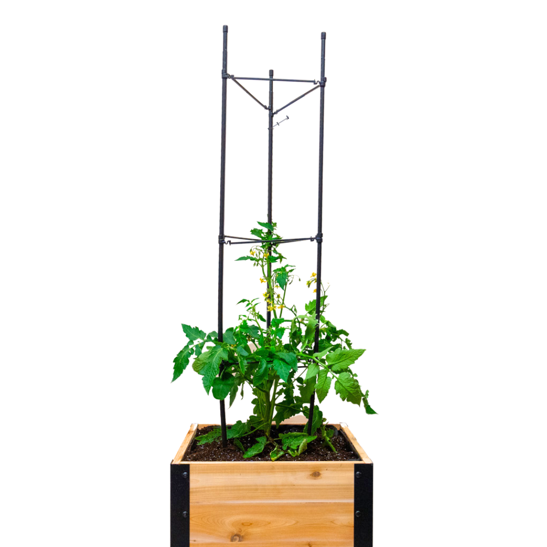Vegetable Cage